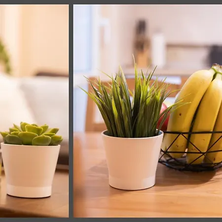 The Red Point * וארנה